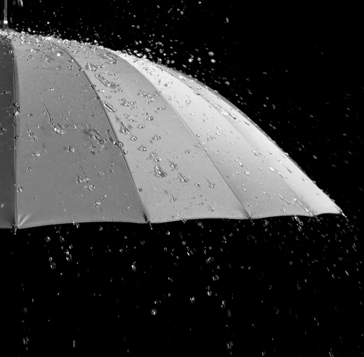 Extra Large Reinforced Long Handle Umbrella