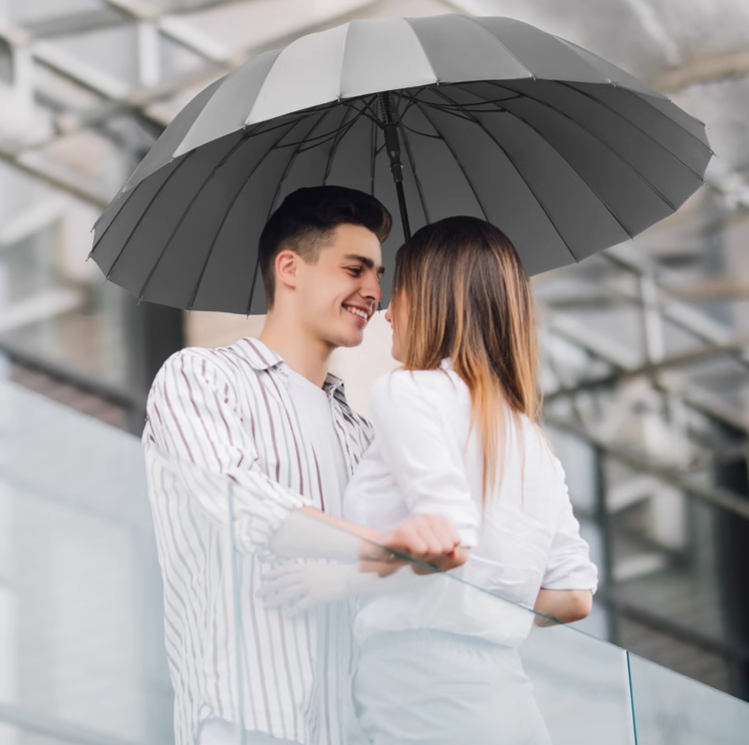 Extra Large Reinforced Long Handle Umbrella