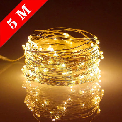 LED Wire Fairy Lights