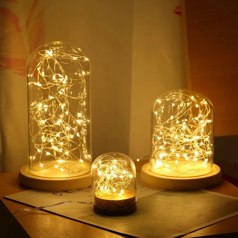 LED Wire Fairy Lights