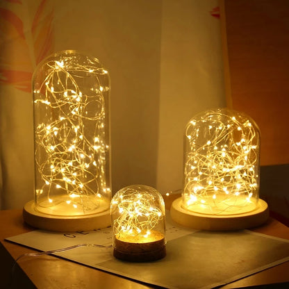 LED Wire Fairy Lights