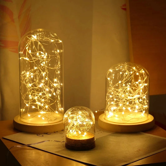 LED Wire Fairy Lights